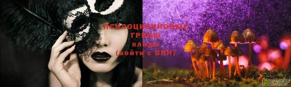 бутират Верхний Тагил