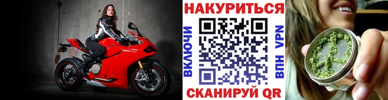 Конопля план  OMG маркетплейс  Йошкар-Ола  купить закладку 